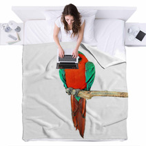 Parrot On A Branch Blankets 72468239