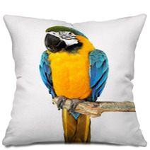 Parrot On A Branch Pillows 72462910