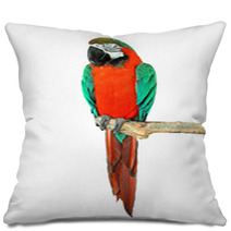 Parrot On A Branch Pillows 72468239