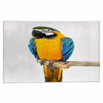 Parrot On A Branch Rugs 72462910
