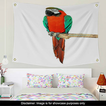 Parrot On A Branch Wall Art 72468239