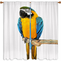 Parrot On A Branch Window Curtains 72462910