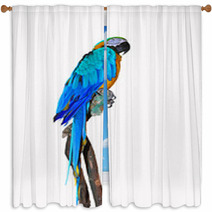 Parrot On A Branch Window Curtains 72466555