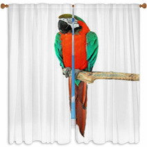 Parrot On A Branch Window Curtains 72468239