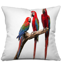Parrot Pillows 52853756