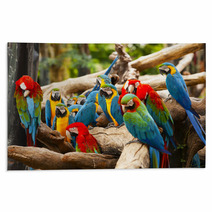 Parrot Rugs 52853621