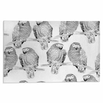 Parrot Rugs 71800101