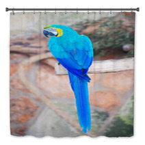 Parrot Sitting On Branch In National Park. Bath Decor 72678642