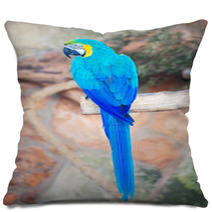 Parrot Sitting On Branch In National Park. Pillows 72678642