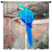 Parrot Sitting On Branch In National Park. Window Curtains 72678642