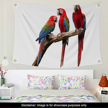Parrot Wall Art 52853756