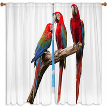 Parrot Window Curtains 52853756