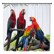 Parrots Bath Decor 542404