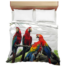 Parrots Bedding 542404