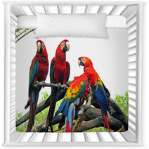 Parrots Nursery Decor 542404