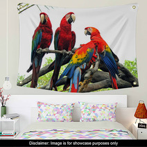 Parrots Wall Art 542404