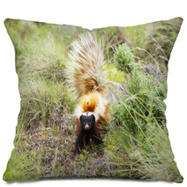 Patagonian Hog-nosed Skunk Pillows 61028725