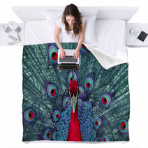 Peacock 3 Blankets 44446981