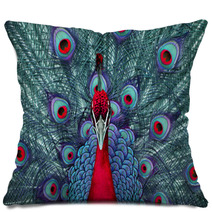 Peacock 3 Pillows 44446981