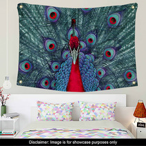 Peacock 3 Wall Art 44446981