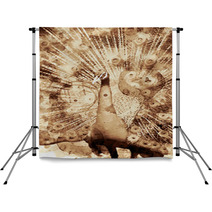 Peacock Bird Digital Art Coffee Stain Panting Backdrops 241255267