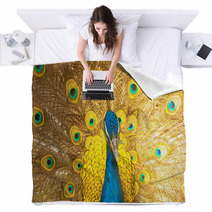 Peacock Blankets 51925727