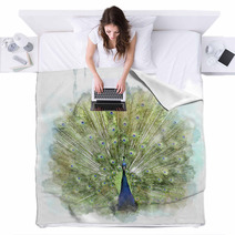 Peacock Blankets 65532206