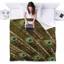 Peacock Blankets 66011323