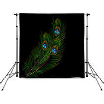 Peacock Feather Vector Background Backdrops 62808703