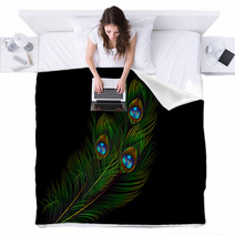 Peacock Feather Vector Background Blankets 62808703