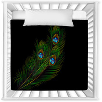 Peacock Feather Vector Background Nursery Decor 62808703