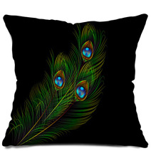 Peacock Feather Vector Background Pillows 62808703