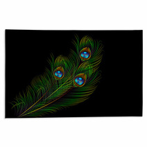 Peacock Feather Vector Background Rugs 62808703