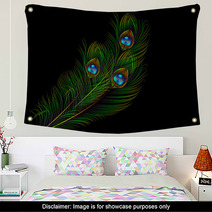 Peacock Feather Vector Background Wall Art 62808703