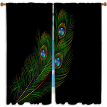 Peacock Feather Vector Background Window Curtains 62808703