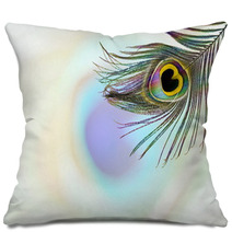 Peacock Feathers In Blurs Background With Text Copy Space Pillows 142143877