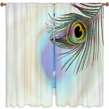Peacock Feathers In Blurs Background With Text Copy Space Window Curtains 142143877