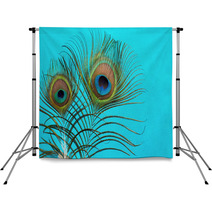 Peacock Feathers On A Blue  Background Backdrops 58132239