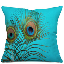 Peacock Feathers On A Blue  Background Pillows 58132239