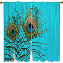 Peacock Feathers On A Blue  Background Window Curtains 58132239