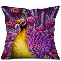 Peacock Pillows 178071585