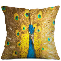 Peacock Pillows 51925727