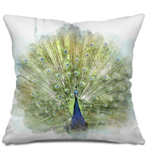Peacock Pillows 65532206