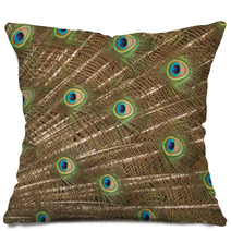 Peacock Pillows 65937884