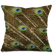 Peacock Pillows 66011323