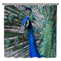 Peacock, Retiro Park, Madrid (Spain) Bath Decor 64554402
