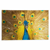 Peacock Rugs 51925727