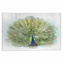 Peacock Rugs 65532206