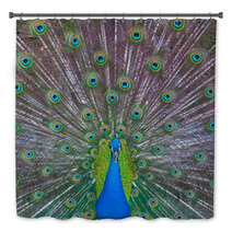 Peacock Showing Off Bath Decor 53001756