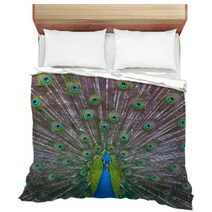 Peacock Showing Off Bedding 53001756